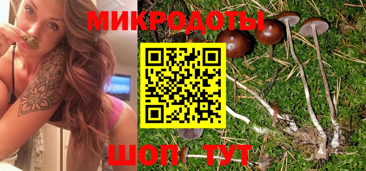 Псилоцибиновые грибы Magic Shrooms Петропавловск-Камчатский