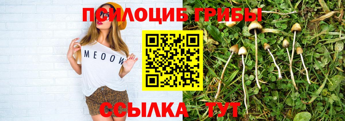 Галлюциногенные грибы Cubensis  Вход с VPN  как найти наркотики  Петропавловск-Камчатский 